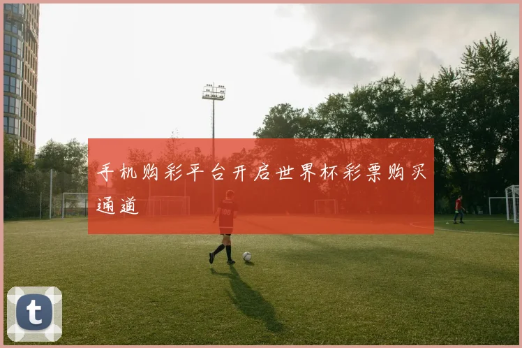手机购彩平台开启世界杯彩票购买通道
