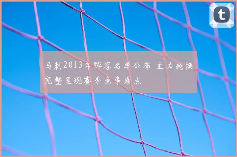 马刺2013年阵容名单公布 主力轮换完整呈现赛季竞争看点